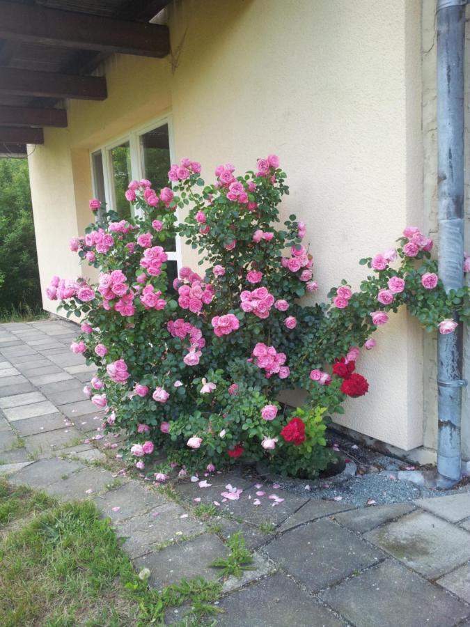 Ferienwohnung Am Spreeradweg Neusalza-Spremberg Extérieur photo